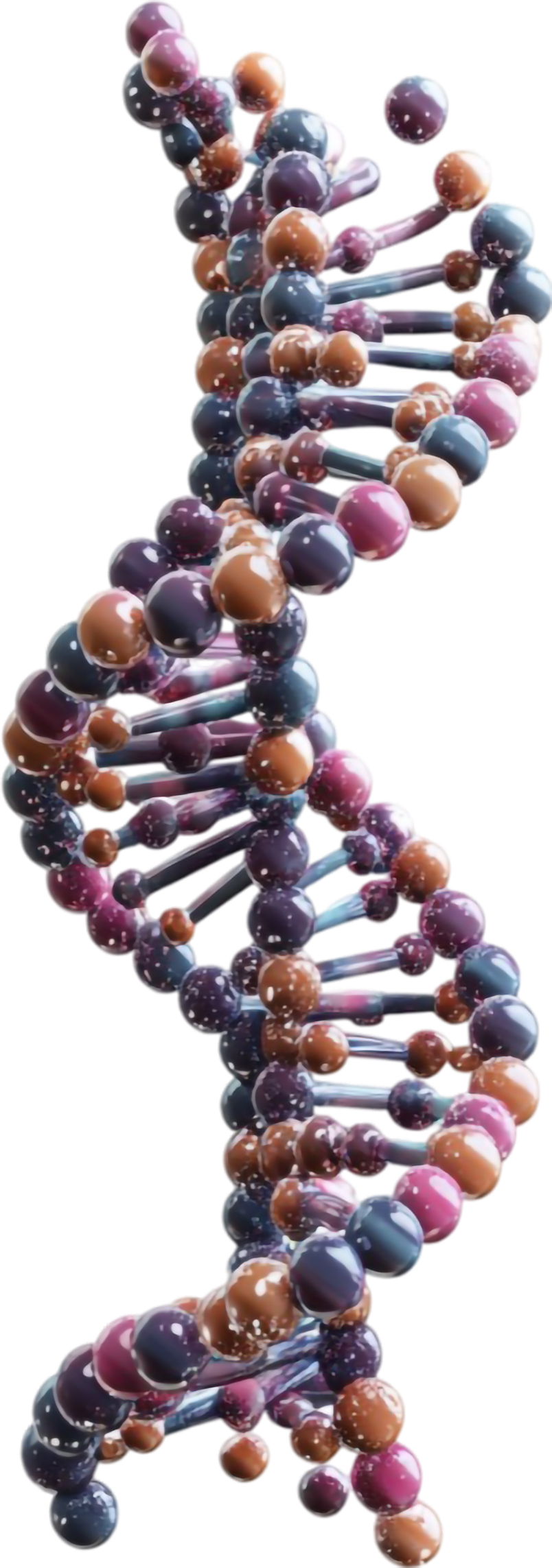 DNA Testing